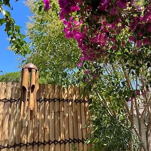  Appartement Avec Rez De Jardin France